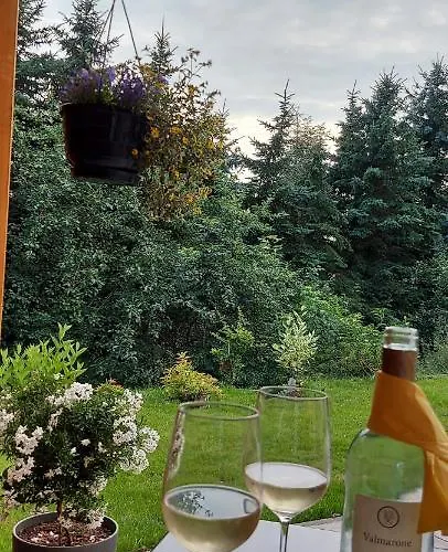 度假居 Richtermuehle 赛博尼茨